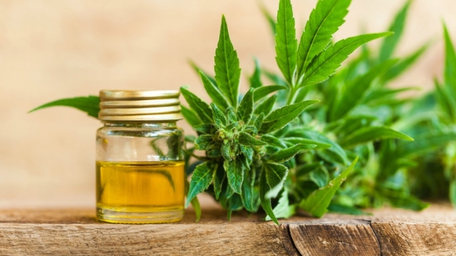Unveiling the Potent Perks of CBD Products