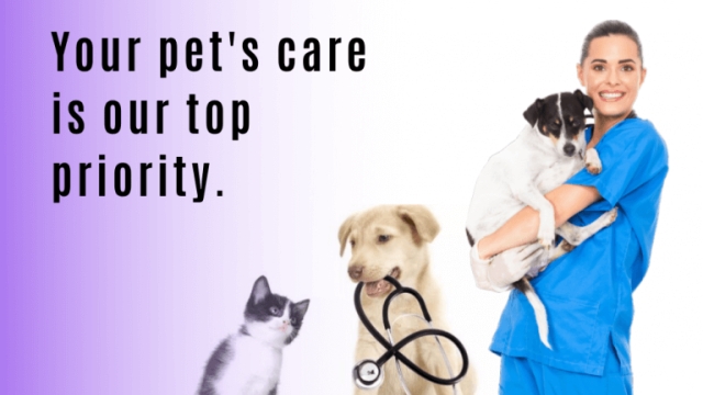 Purrfectly Pawsome: Unleashing the Secrets to Optimal Pet Health!