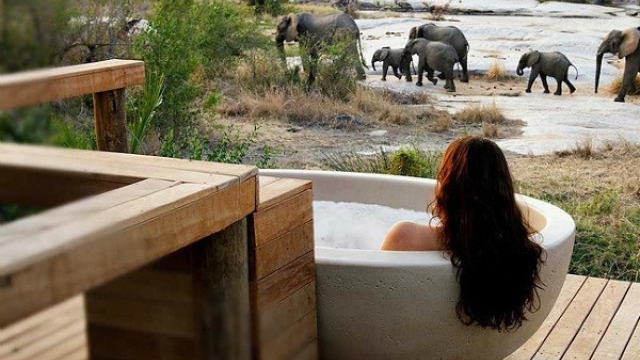 Roaming in Opulence: The Epitome of Luxury Safari Accommodation.