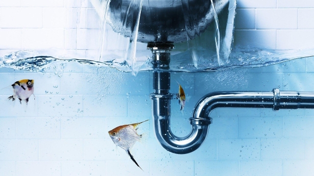 Mastering the Art of Plumbing: A Guide to Tackling Common Household Issues