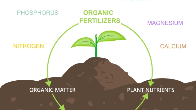 Nourishing Nature: Maximizing Growth with Organic Soil and Fertilizer