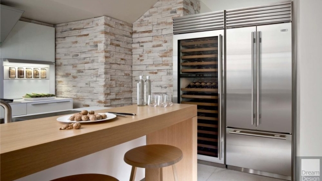 The Ultimate Guide to Sub Zero Appliances and Freezers: Keeping Cool in Style