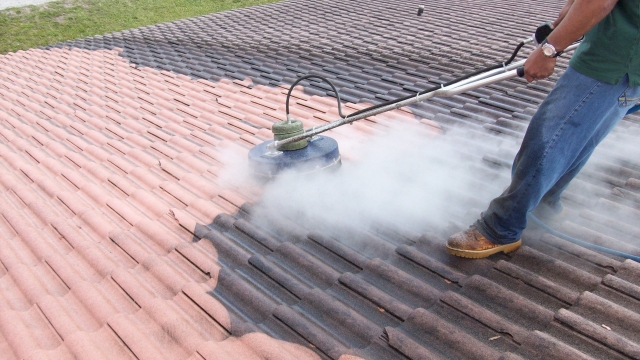 Revitalizing Your Home: The Power of Pressure Washing and Roof Cleaning