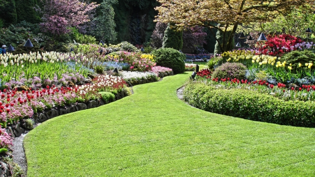 Nature’s Canvas: Transforming Outdoor Spaces Through Landscaping