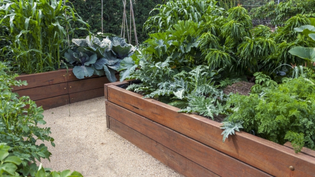 Blooming Bliss: Unleashing the Magic of Garden Beds