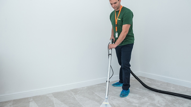 Reviving Your Home: The Ultimate Guide to Carpet Cleaning Secrets