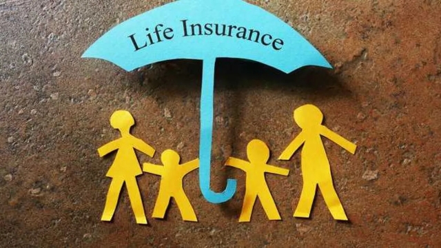 Shielding Your Small Business: The Power of Insurance