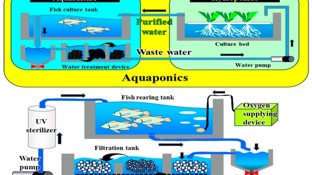 Revolutionizing the Blue Frontier: Innovations in Aquaculture Technology