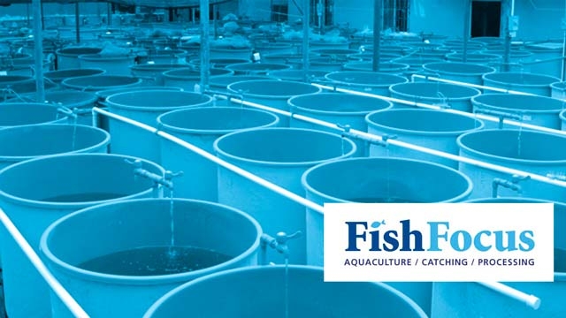 Revolutionizing the Waves: The Future of Aquaculture Technology